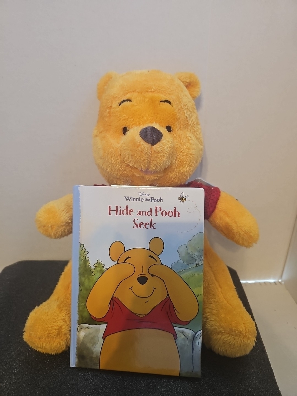 Disney Winnie the Pooh plush toy and matching storybook